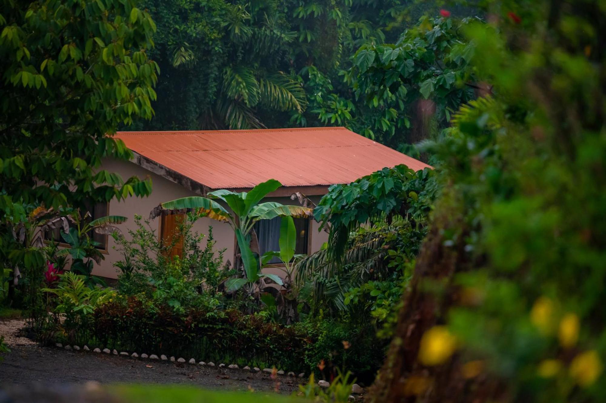Osa Private Renting House-Villas-Tented-Best Views-Nature-Comfort Puerto Jiménez Eksteriør billede